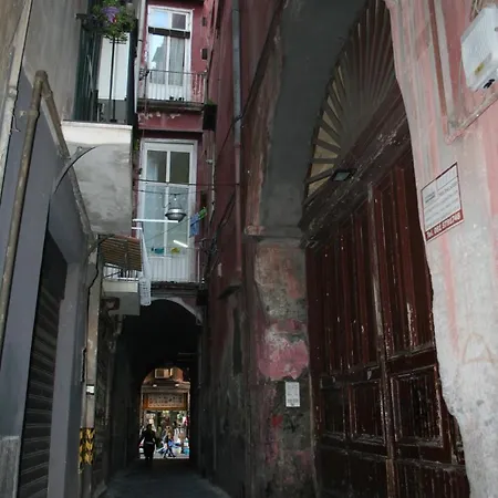 Domus Apta 게스트하우스
