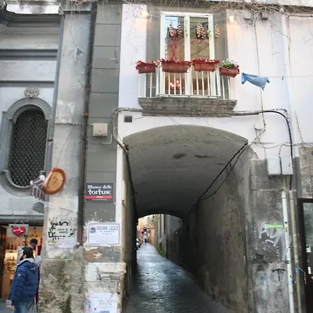 Domus Apta 게스트하우스