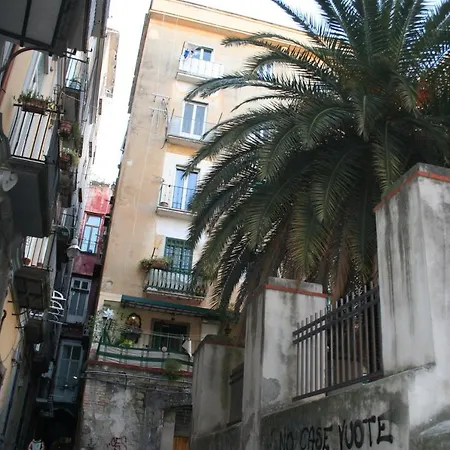 Domus Apta