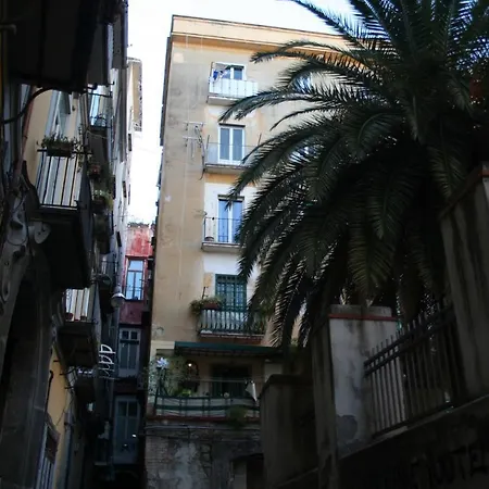 Affittacamere Domus Apta Napoli